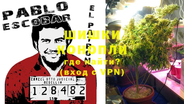 PSILOCYBIN Нефтегорск