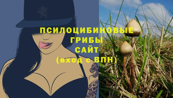 твердый Нея