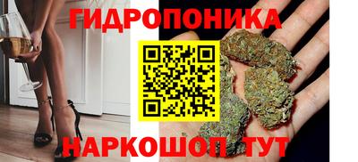 СК Конаково