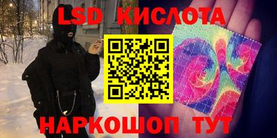 кокс Гатчина