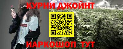 кокс Гатчина