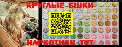 кокс Гатчина