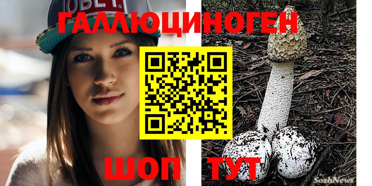 Псилоцибиновые грибы Psilocybe Лянтор